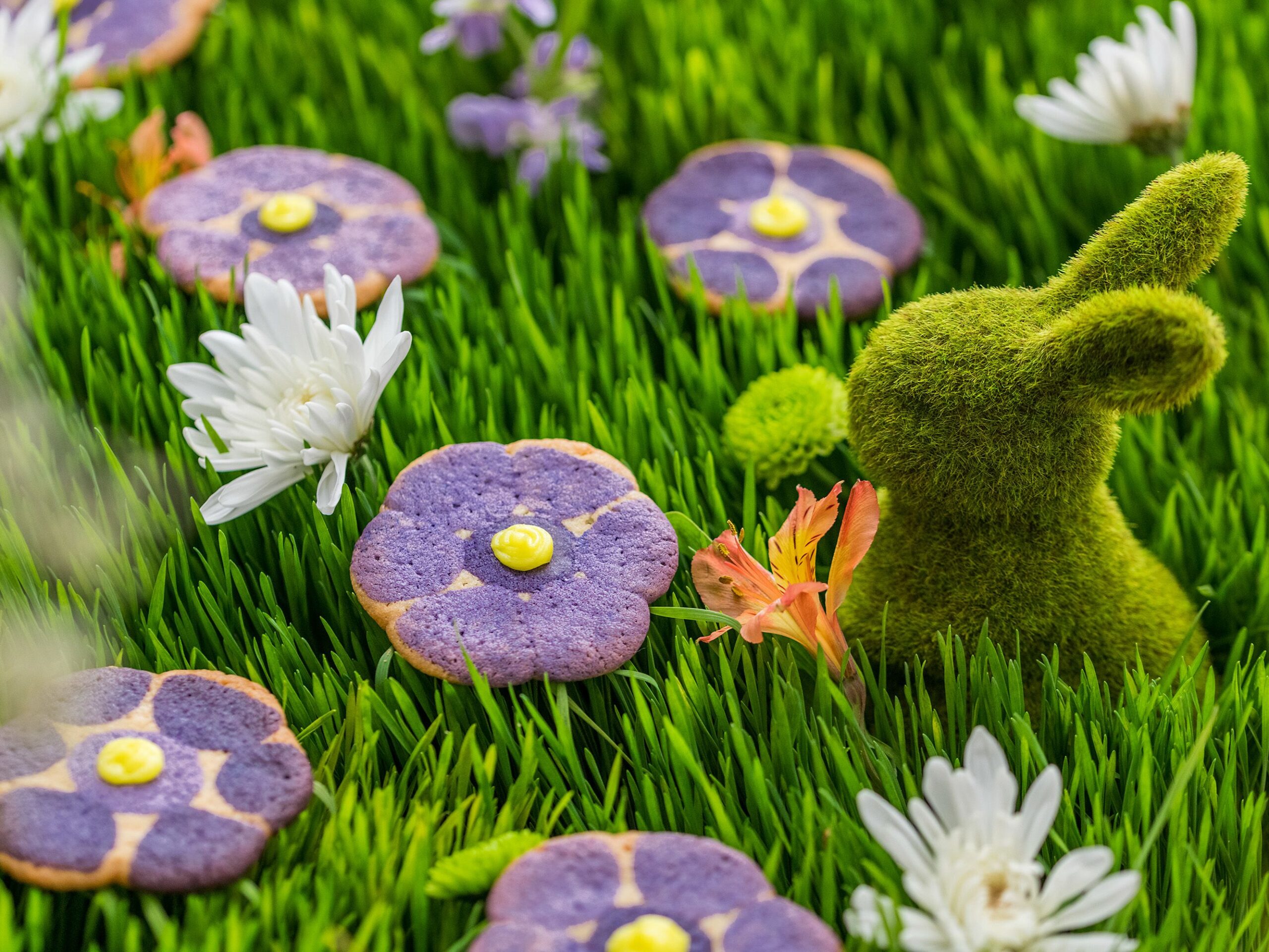 Easter cookie recipes you’ll make every year - Food and Cooking - News