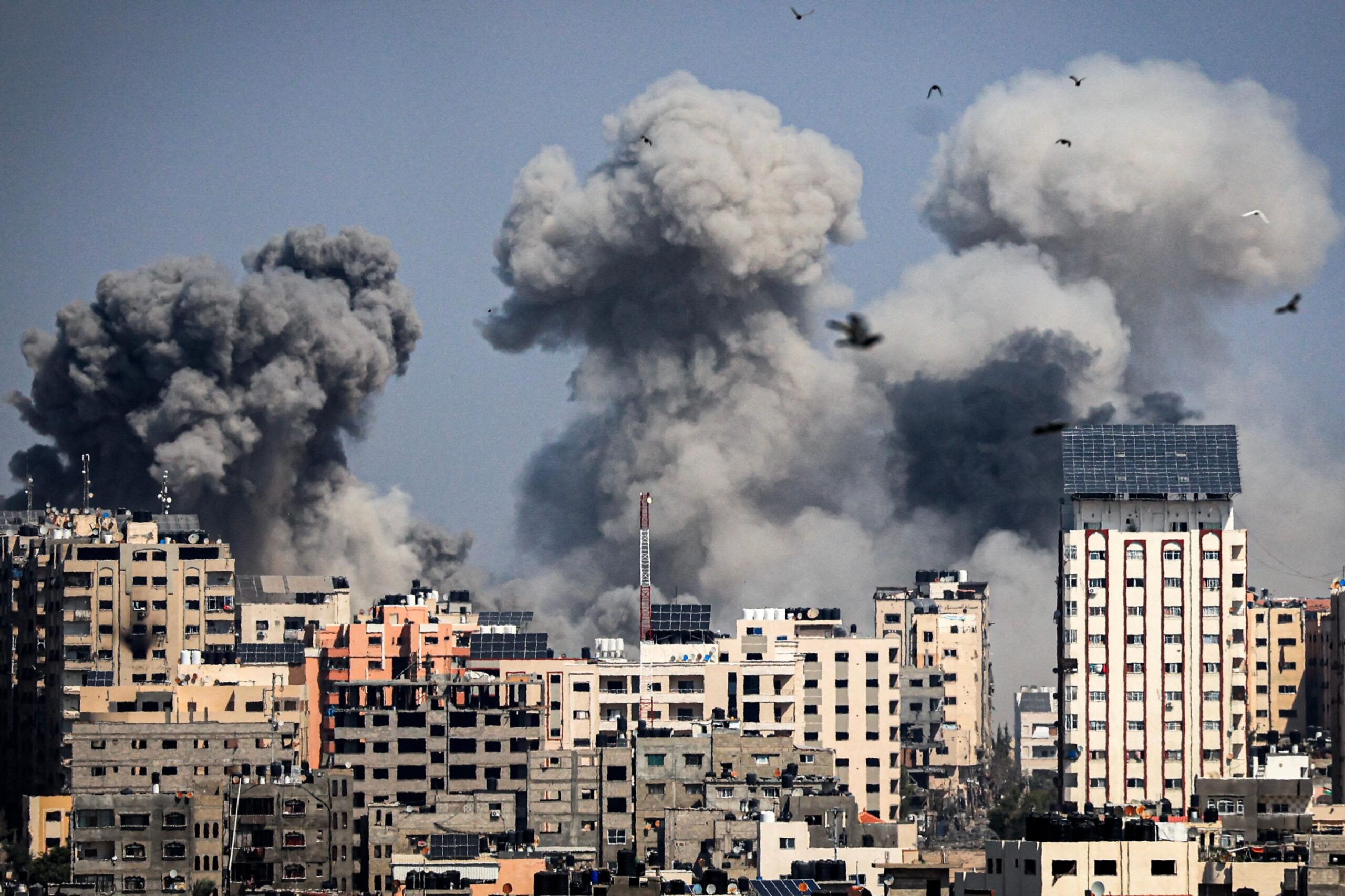 Devastation in Gaza as Israel wages war on Hamas - International News - News